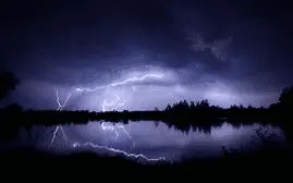 1641881969786.webp