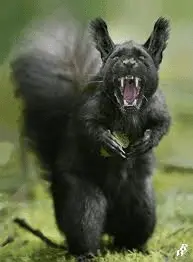 1642635388471.webp