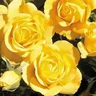 1642694199436.webp