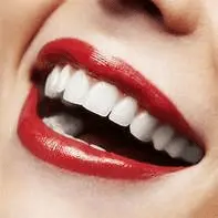 1642708873383.webp