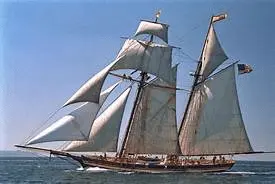 1642800070408.webp