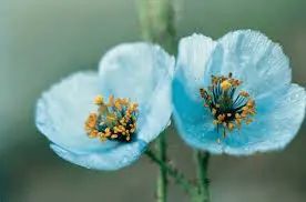 1645848640862.webp