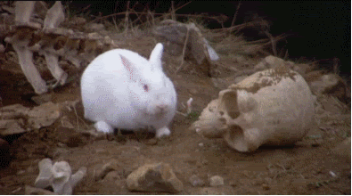 1647622630314.gif
