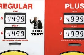 1647990277018.png