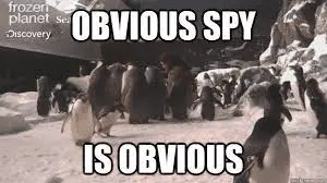 1649590219568.webp