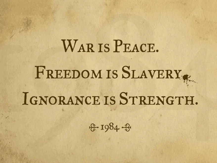 1651605894363.webp
