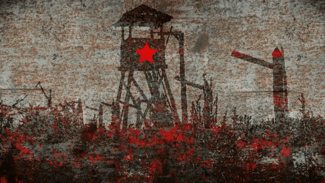 1651923329599.png