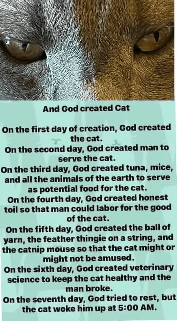 1652120316107.png