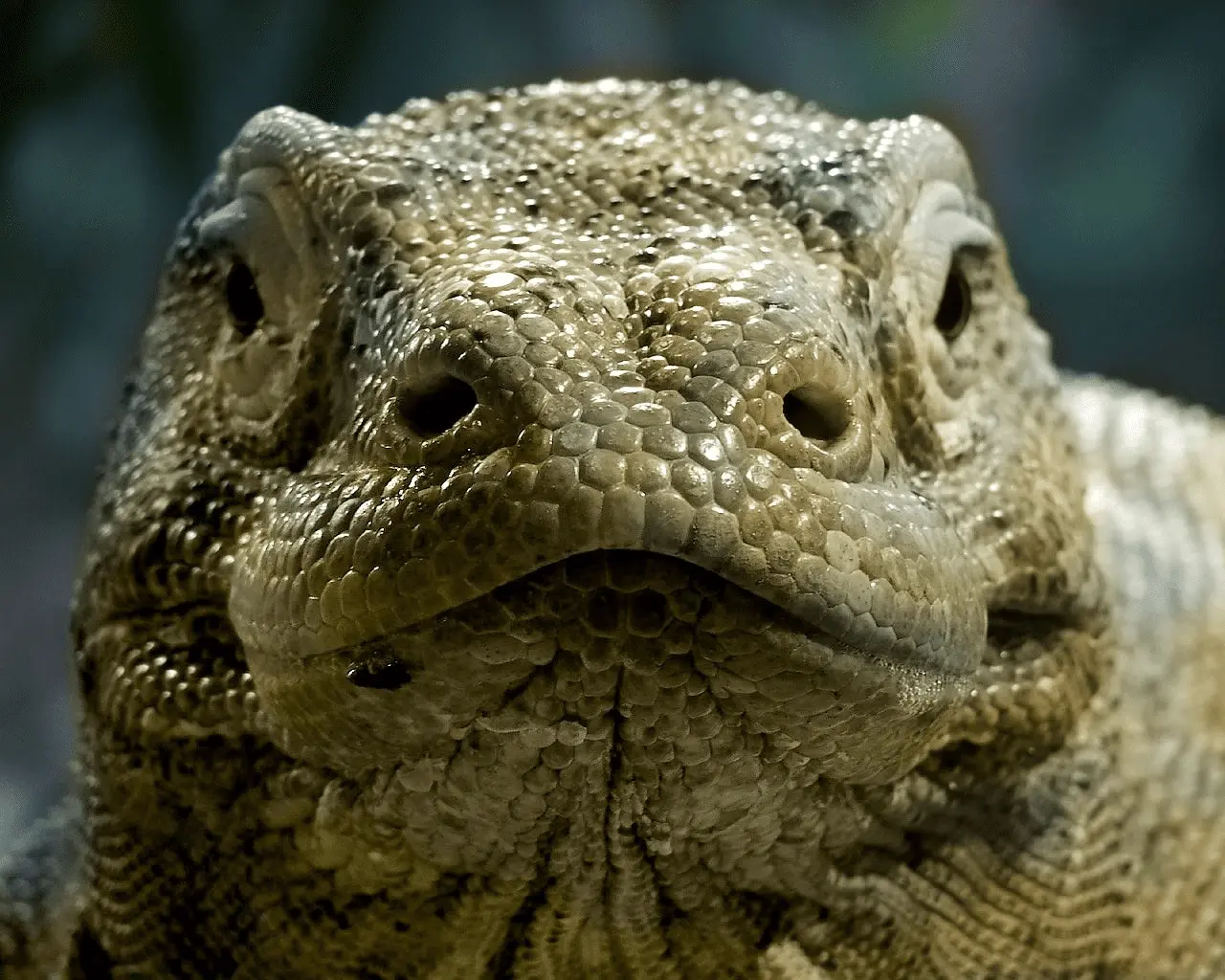 1653112500764.png