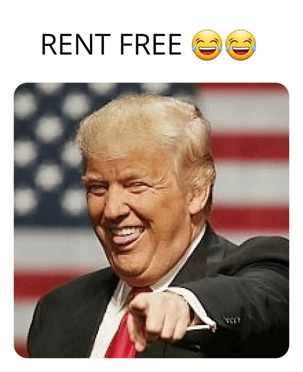 1654518919278.webp
