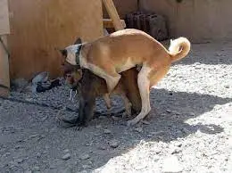 1656711434780-jpeg.664840