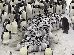 1656758832055.png