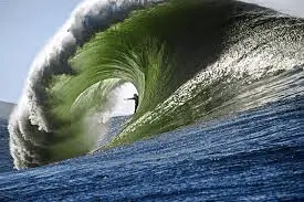 1657167680683.webp