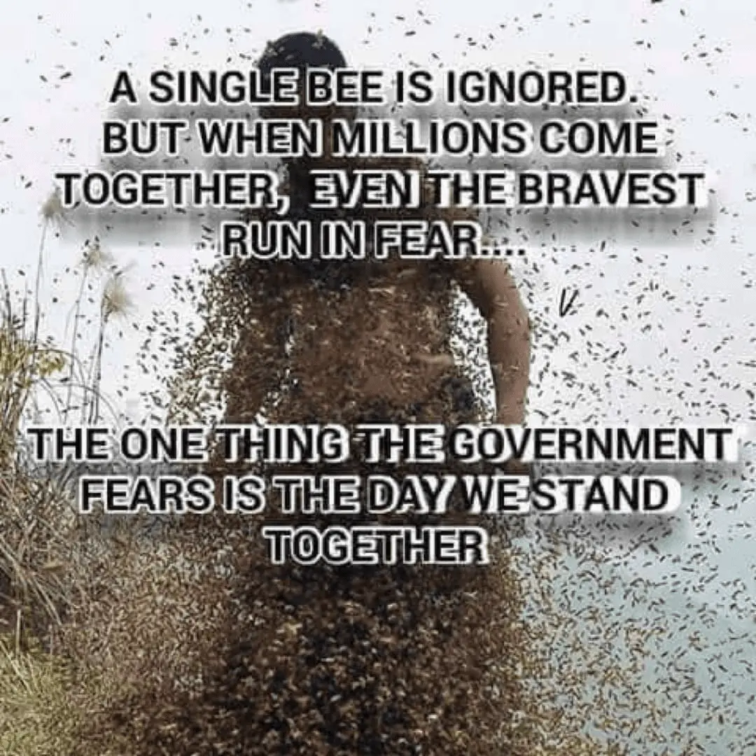 1657302023668.webp