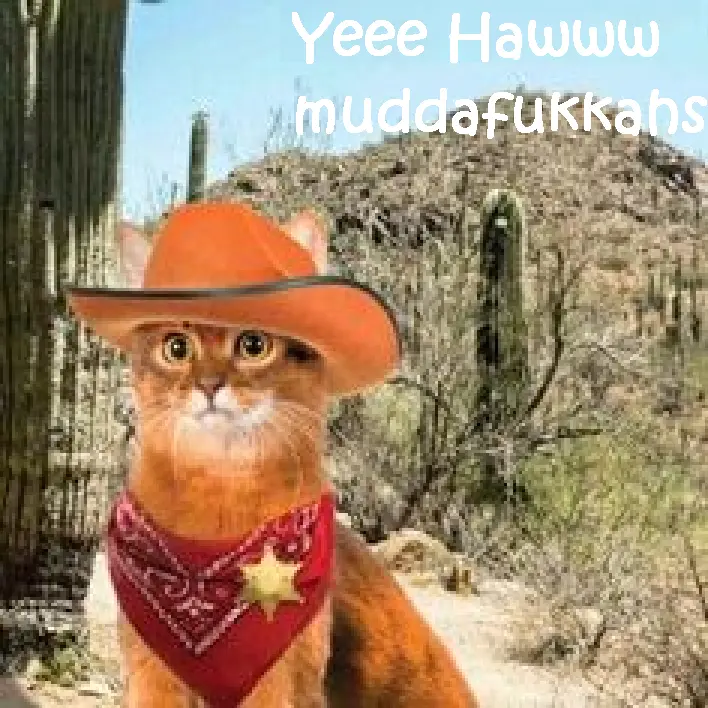 1659194031279.webp