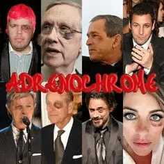 1659934955496.webp