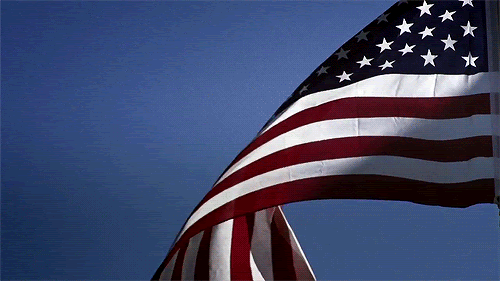 1660248369760.gif