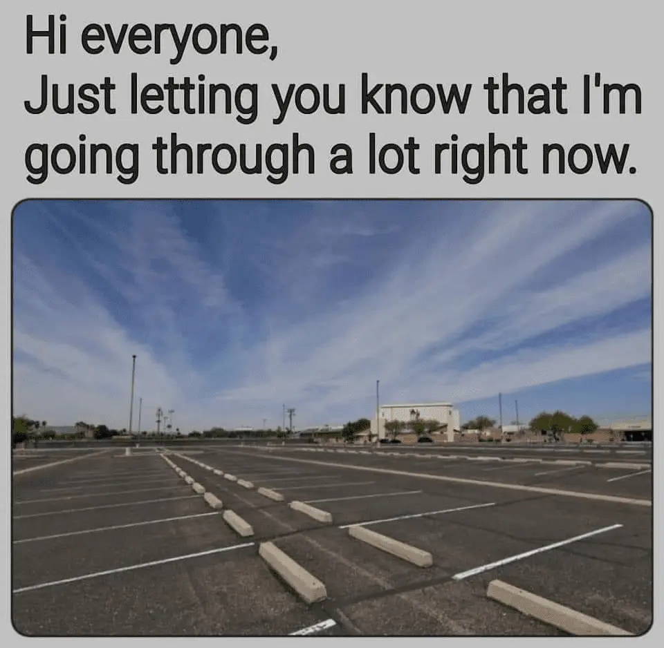 1660587598817.webp