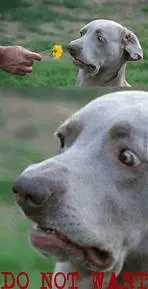 1660997981110.png