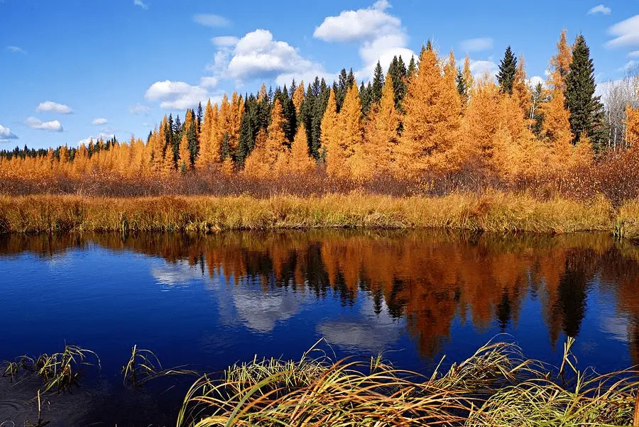 1664320887295.webp
