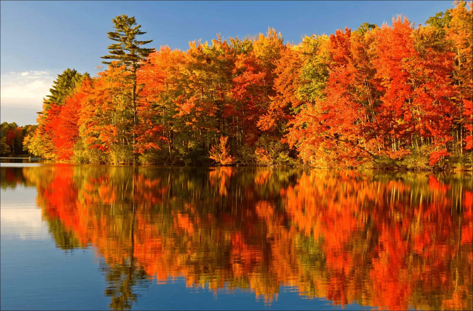 1664322267226.webp
