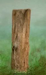 1666373265601.webp