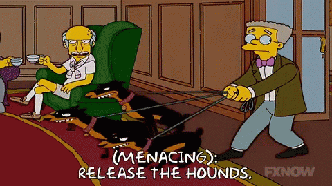 1667229366580.gif