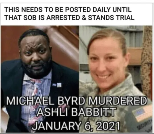 1668216483898.png