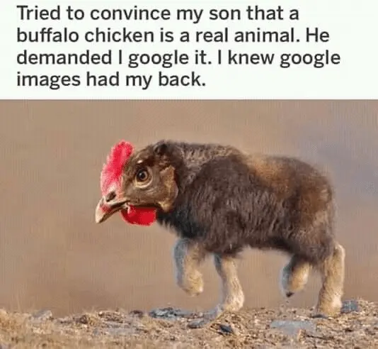 1668451728871.webp