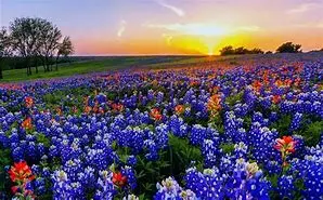 1674837722528.webp