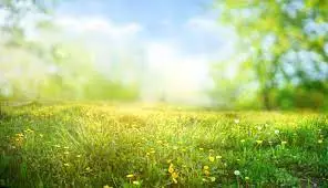 1680385303668.webp