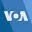1684746635095.webp