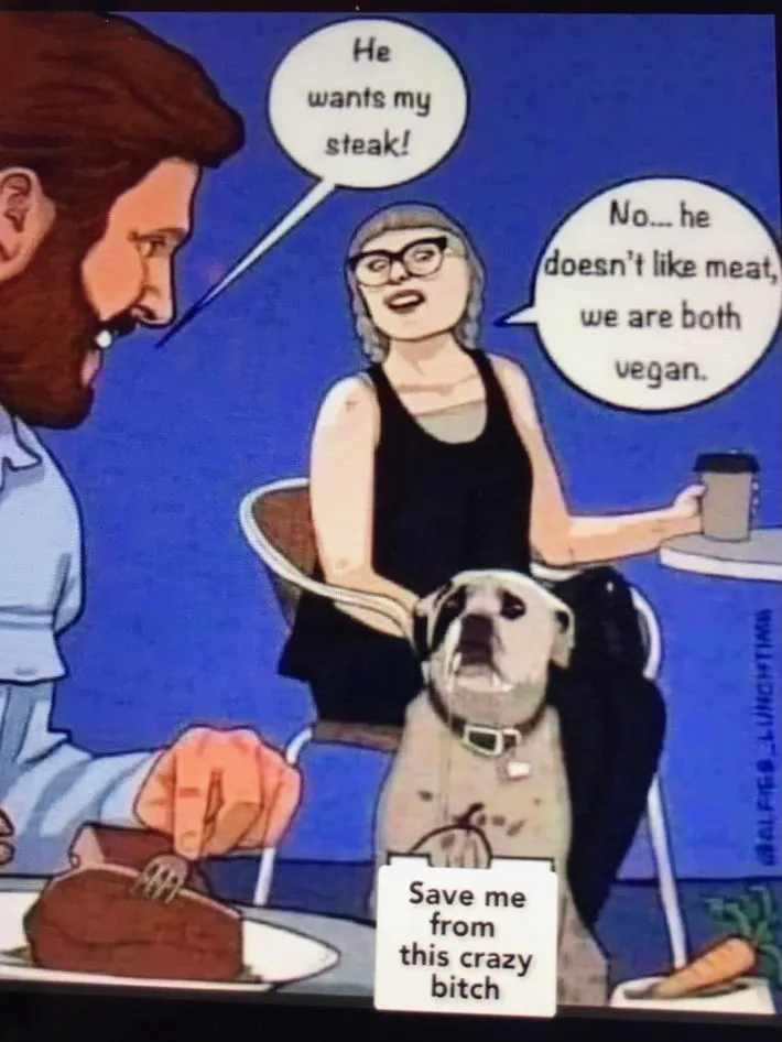 1687095915618-jpeg.796406