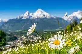 1698747574134.webp