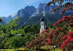 1698747687243.webp
