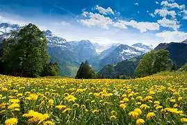 1698747788230.webp