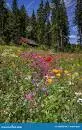 1698748097082.webp