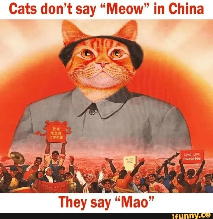 1706214239305.png