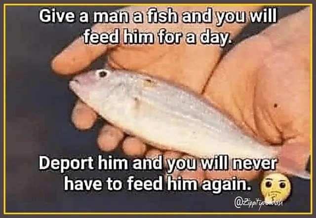 1706655257893.webp