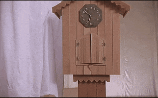 1707573446772.gif