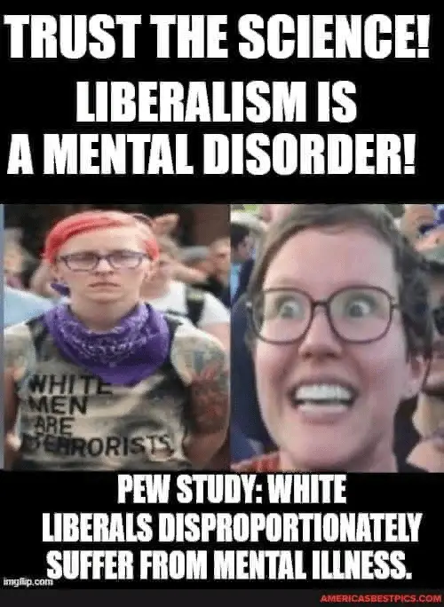 1707783531544.png