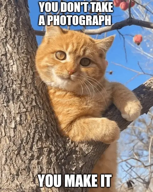 1707786378399.webp