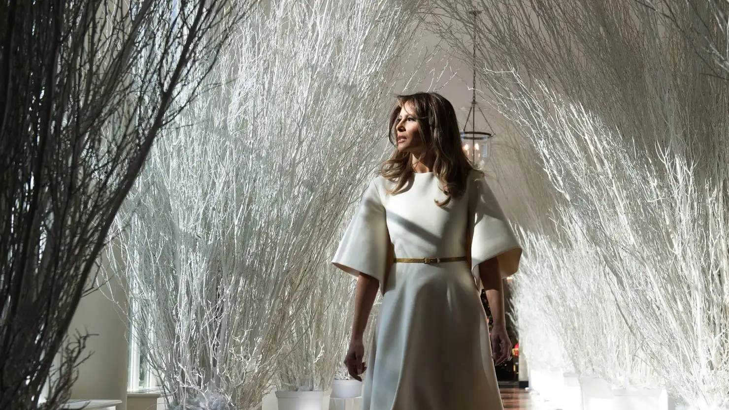 171128-ryan-melania-tease2_zziuyh.webp