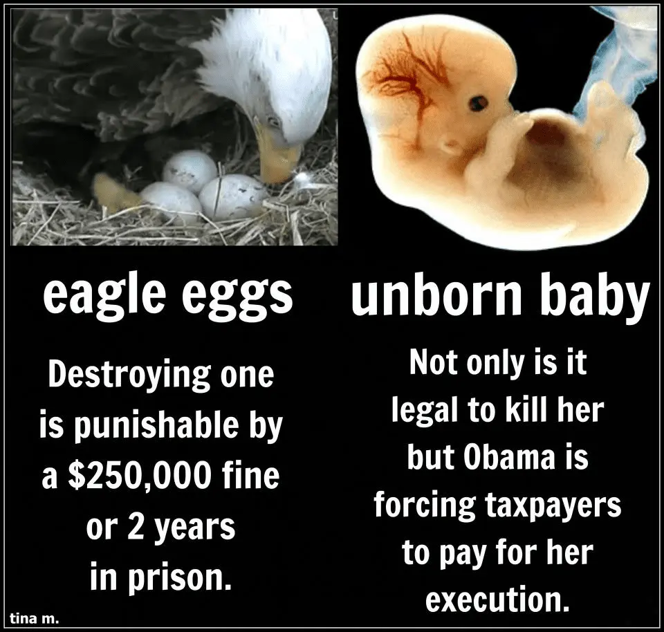 1712788782032.webp