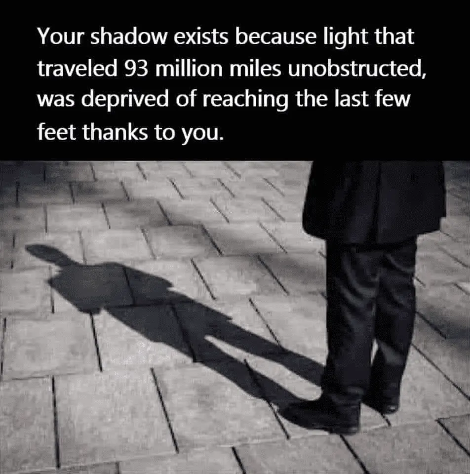 1716044653431.webp