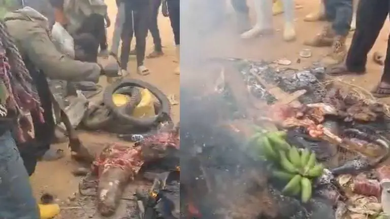 1721827737113-jpeg.983066