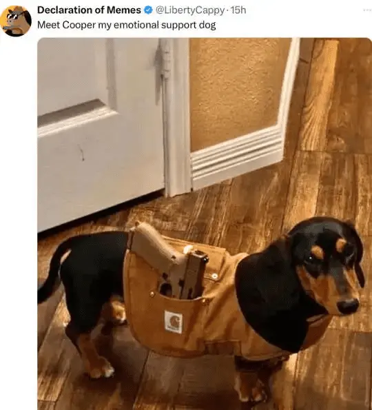 1724536697346-png.1000913