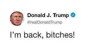 1730890105950-jpeg.1037439