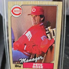 Topps Cincinnati Reds Pete Rose Baseball Card. 