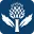 1750578387832.webp